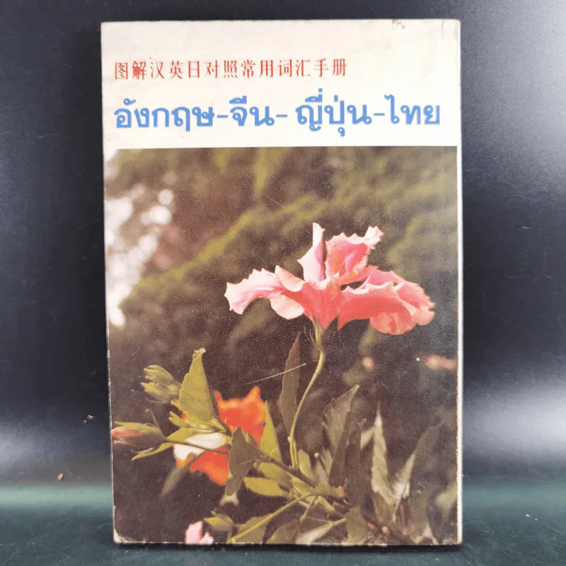 อังกฤษ-จีน-ญี่ปุ่น-ไทย รูปที่ 2