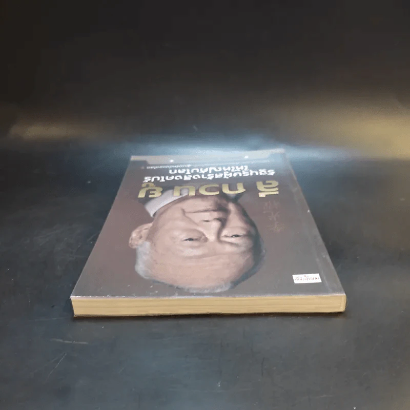 ลี กวน ยู รัฐบุรุษผู้สร้างสิงคโปร์ให้ใหญ่คับโลก - บุญฤทธิ์ ตั้งบุญคุณธรรม รูปที่ 6