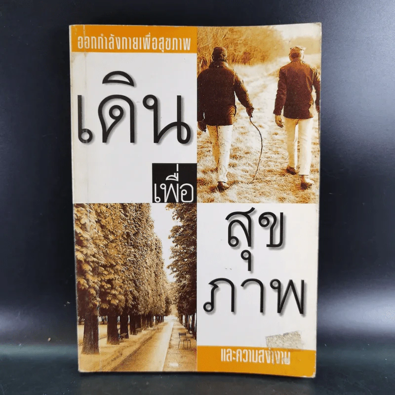 เดินเพื่อสุขภาพและความสง่างาม รูปที่ 1