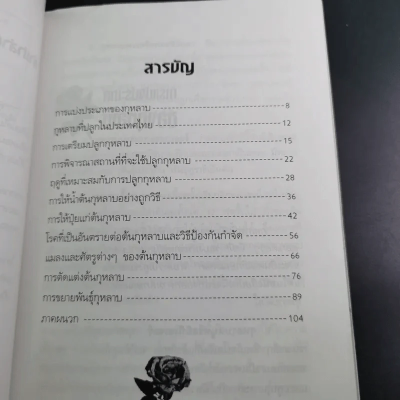 ชุด สวนสวยด้วยตัวเอง กุหลาบ - ณัชิมา ศิลปอนันต์ รูปที่ 13