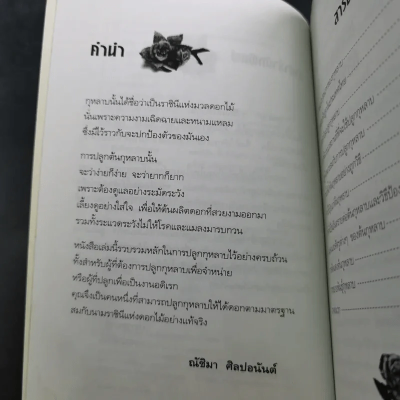 ชุด สวนสวยด้วยตัวเอง กุหลาบ - ณัชิมา ศิลปอนันต์ รูปที่ 12
