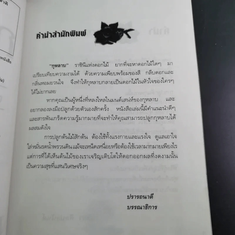 ชุด สวนสวยด้วยตัวเอง กุหลาบ - ณัชิมา ศิลปอนันต์ รูปที่ 10