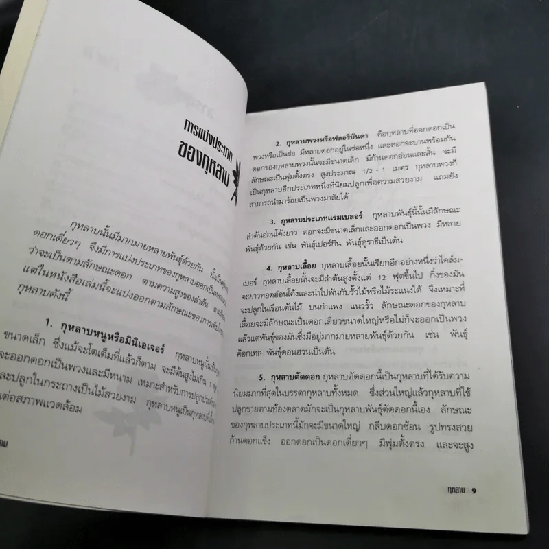 ชุด สวนสวยด้วยตัวเอง กุหลาบ - ณัชิมา ศิลปอนันต์ รูปที่ 14