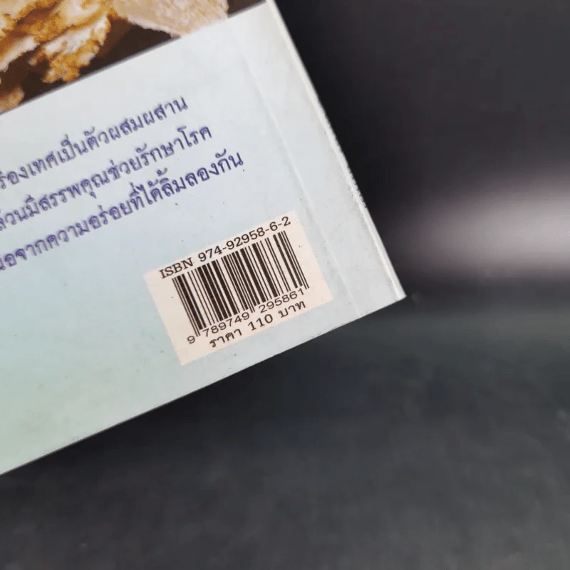 สารพัดก๋วยเตี๋ยวสมุนไพรบำรุงสุขภาพ - อ.นิตอร อบถม รูปที่ 3