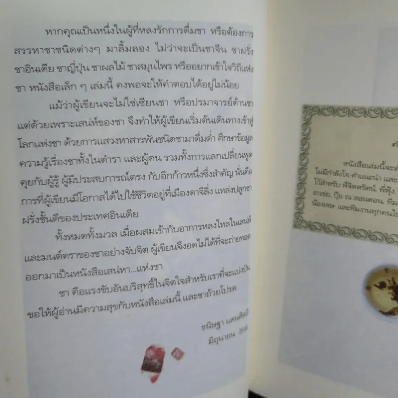 เสน่หาแห่งชา Tea Time - ธนิษฐา แดนศิลป์ รูปที่ 14