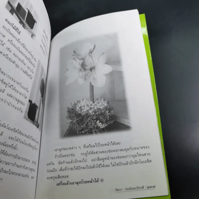ชีวิตดั่งหนึ่ง มีเกณฑ์ กติกา - จิตรา ตราก่อนันทเกียรติ รูปที่ 16
