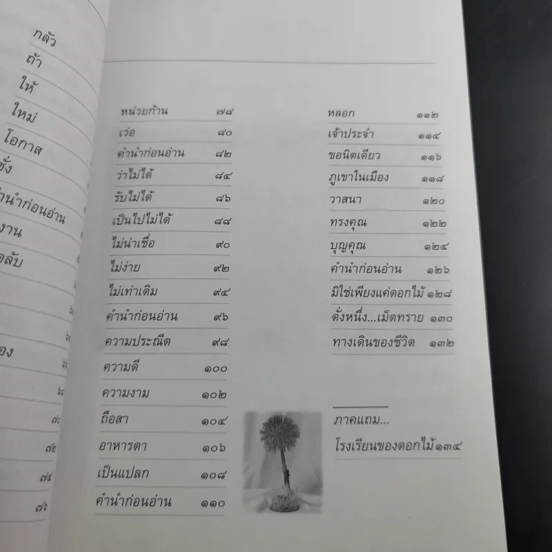 ชีวิตดั่งหนึ่ง มีเกณฑ์ กติกา - จิตรา ตราก่อนันทเกียรติ รูปที่ 13