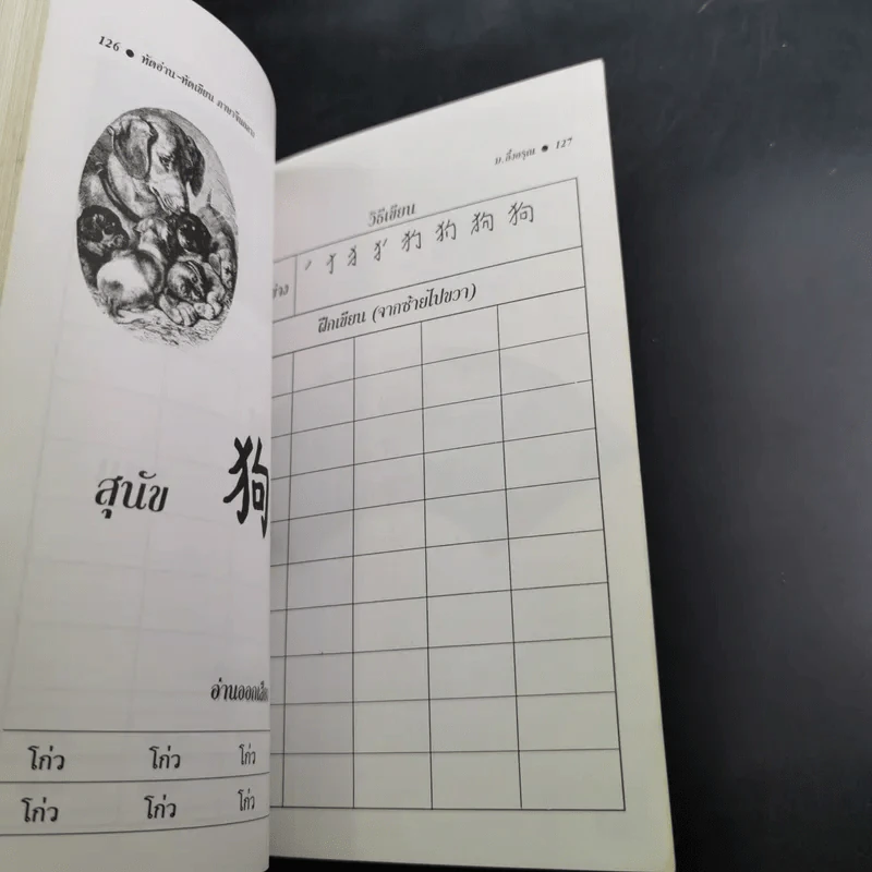 คู่มือหัดอ่าน-หัดเขียน ภาษาจีนกลาง เล่มที่ 1 รูปที่ 13