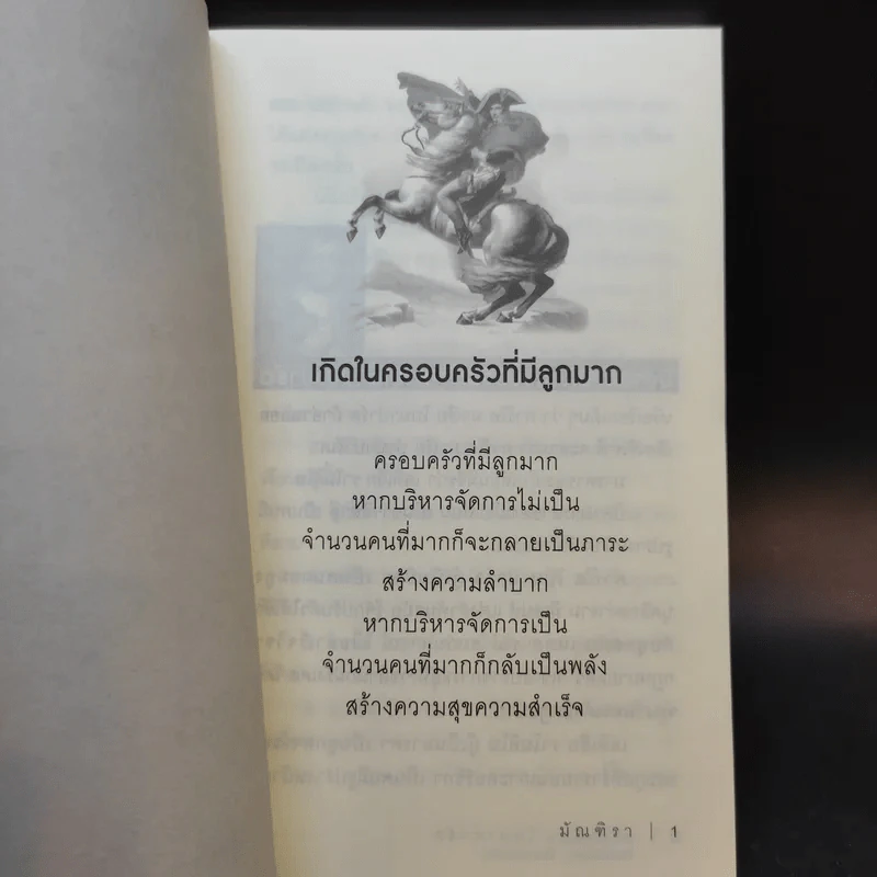 นโปเลียนโบนาปาร์ต - มัณฑิรา รูปที่ 10