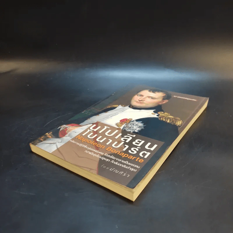 นโปเลียนโบนาปาร์ต - มัณฑิรา รูปที่ 6