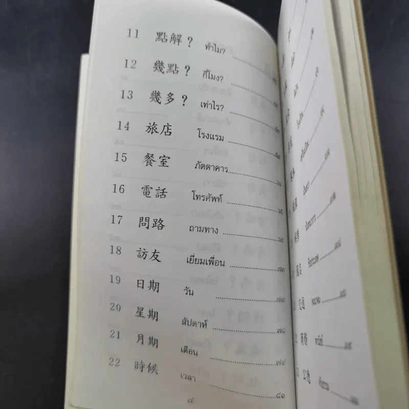พูดกวางตุ้ง - พนัส ยงเชาวน์ รูปที่ 12