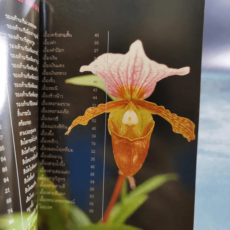 คู่มือคนรักต้นไม้ 12 เล่ม รูปที่ 24