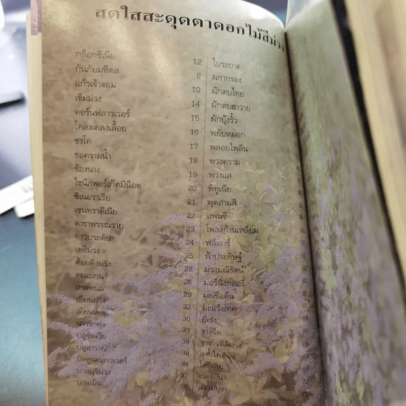 คู่มือคนรักต้นไม้ 12 เล่ม รูปที่ 46