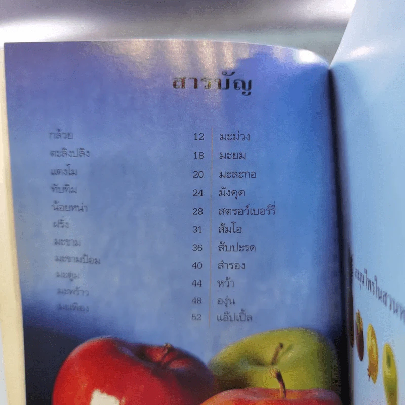 คู่มือคนรักต้นไม้ 12 เล่ม รูปที่ 59