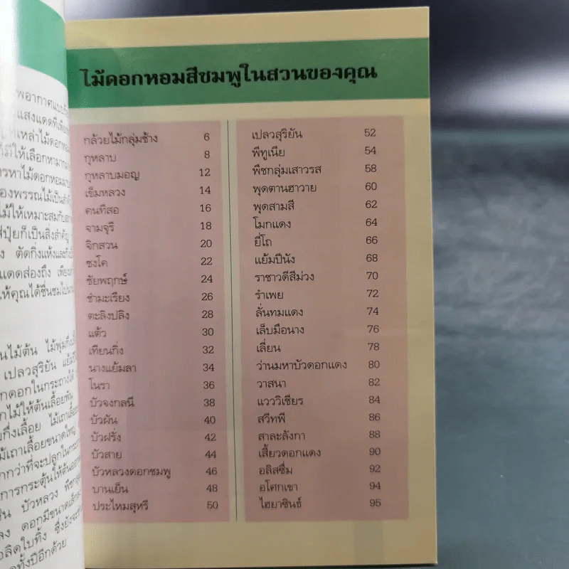 คู่มือคนรักต้นไม้ 12 เล่ม รูปที่ 35