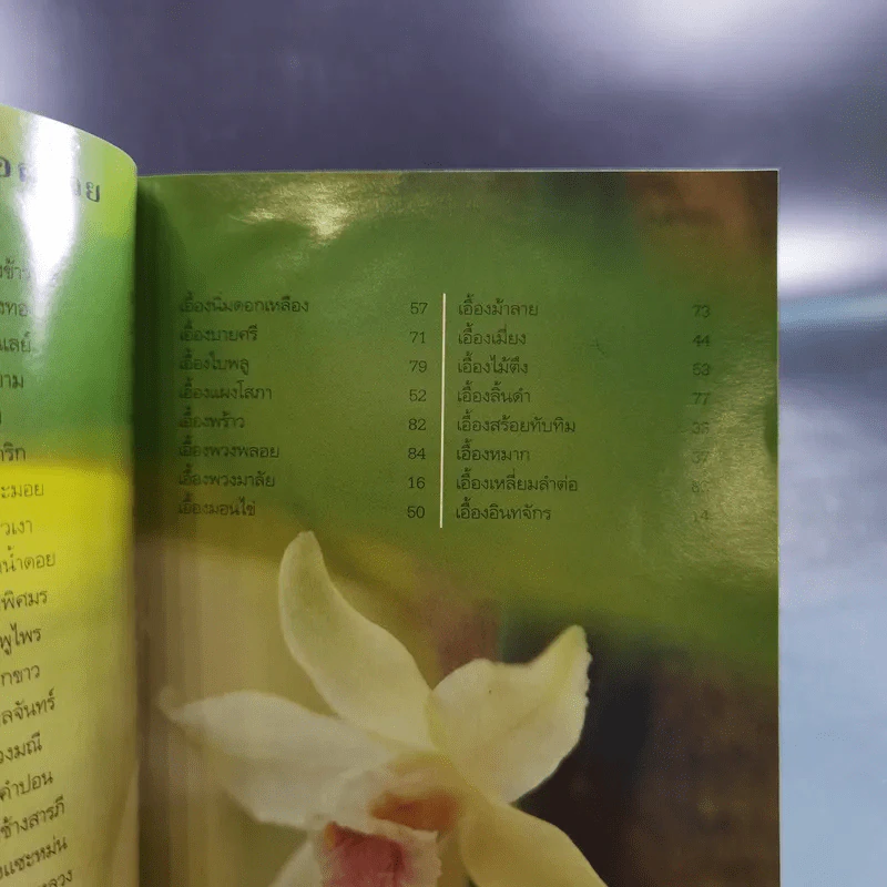 คู่มือคนรักต้นไม้ 12 เล่ม รูปที่ 30