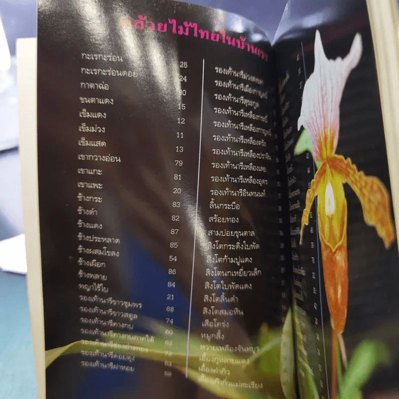 คู่มือคนรักต้นไม้ 12 เล่ม รูปที่ 23