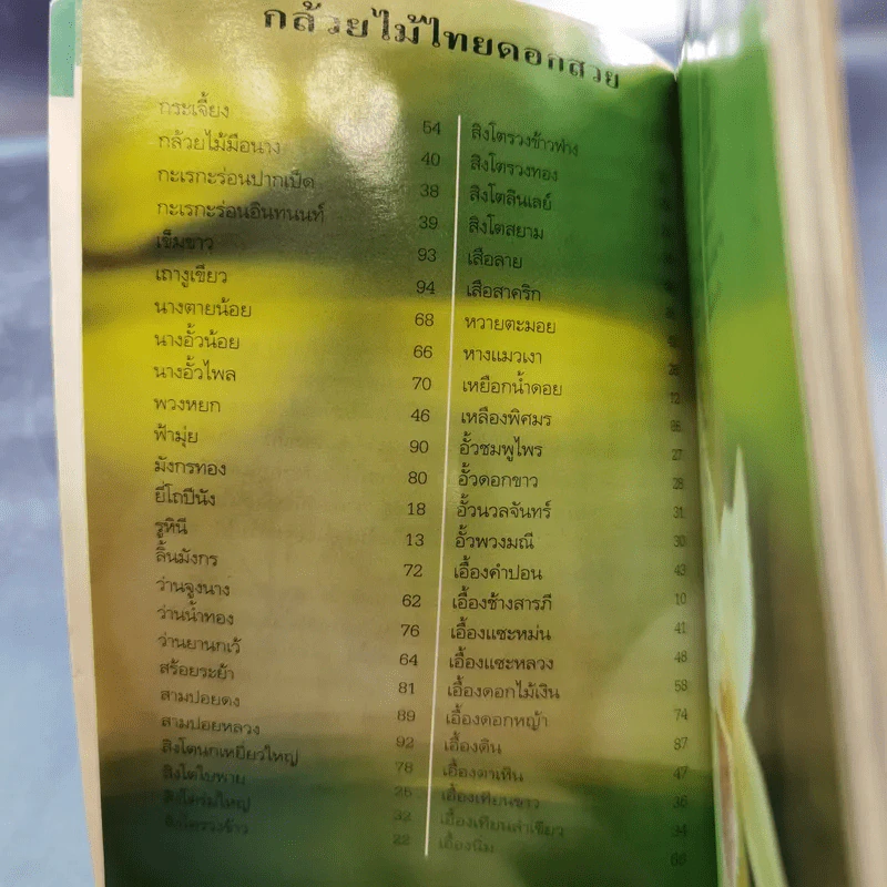 คู่มือคนรักต้นไม้ 12 เล่ม รูปที่ 29