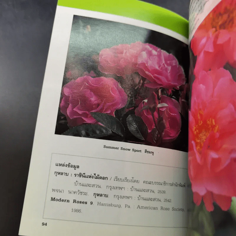 คู่มือคนรักต้นไม้ 12 เล่ม รูปที่ 53