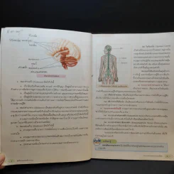 สุขศึกษาและพลศึกษา ชั้นมัธยมศึกษาปีที่ 1 รูปที่ 10