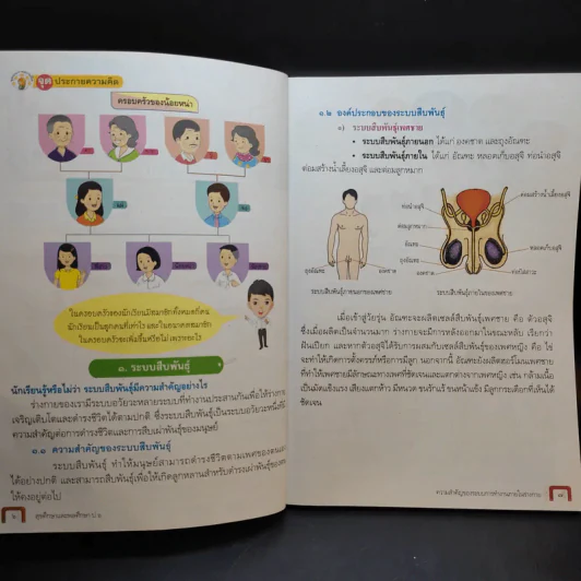 สุขศึกษา และพลศึกษา ชั้นประถมศึกษาปีที่ 6 รูปที่ 9