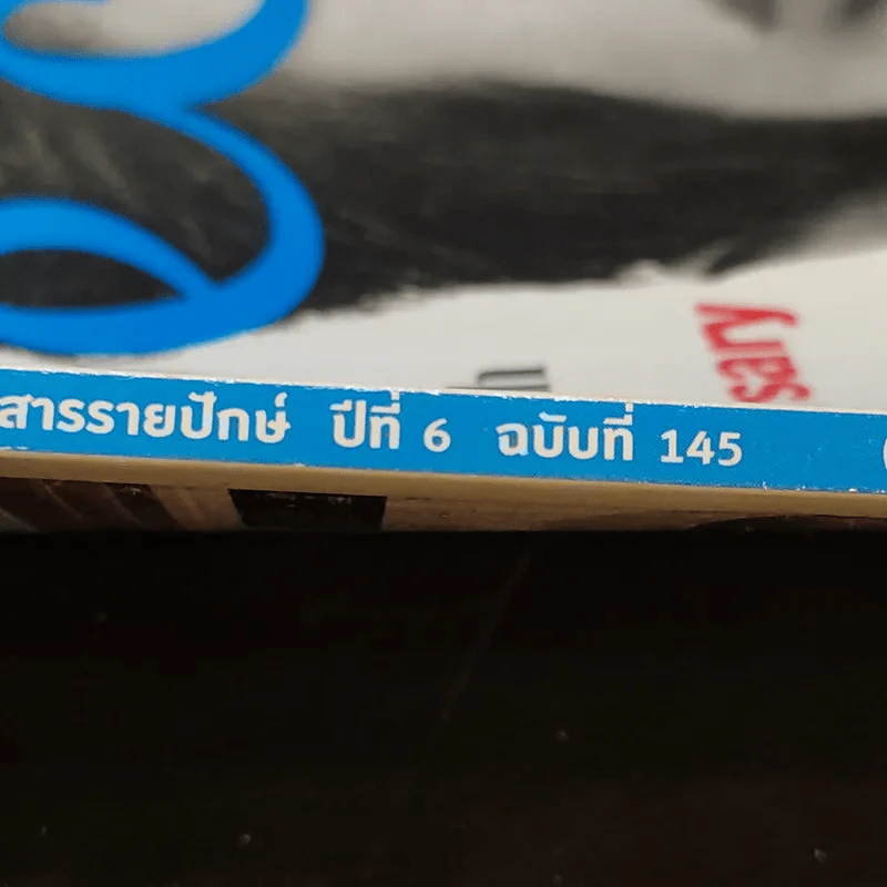 Secret ซีเคร็ต ปีที่ 6 ฉบับที่ 145 เบิร์ด ธงไชย รูปที่ 8