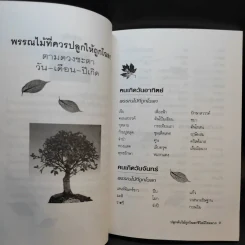 ปลูกต้นไม้ถูกโฉลก ชีวิตมีโชคลาภ - ไชยา บุญพิทักษ์ รูปที่ 11