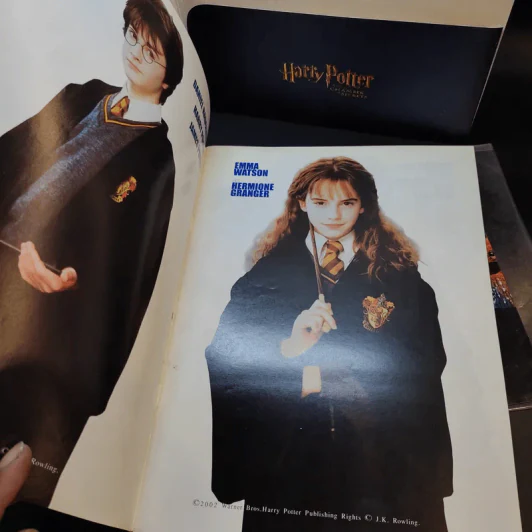 Harry Potter and the Chamber of Secrets รูปที่ 10