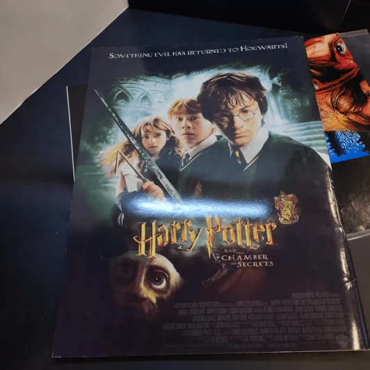 Harry Potter and the Chamber of Secrets รูปที่ 13