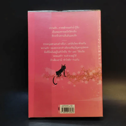 สามรักในรอยจำ - อาริตา รูปที่ 2