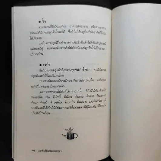 ปลูกต้นไม้เสริมดวงชะตา - แก้ว สุพรรโณ รูปที่ 13