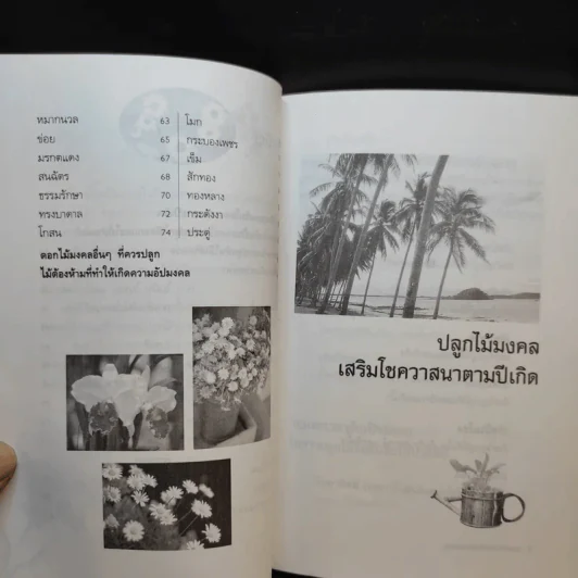 ปลูกต้นไม้เสริมดวงชะตา - แก้ว สุพรรโณ รูปที่ 11