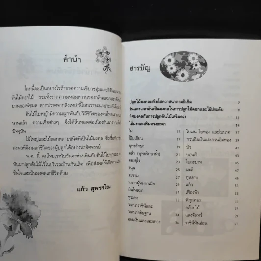 ปลูกต้นไม้เสริมดวงชะตา - แก้ว สุพรรโณ รูปที่ 10