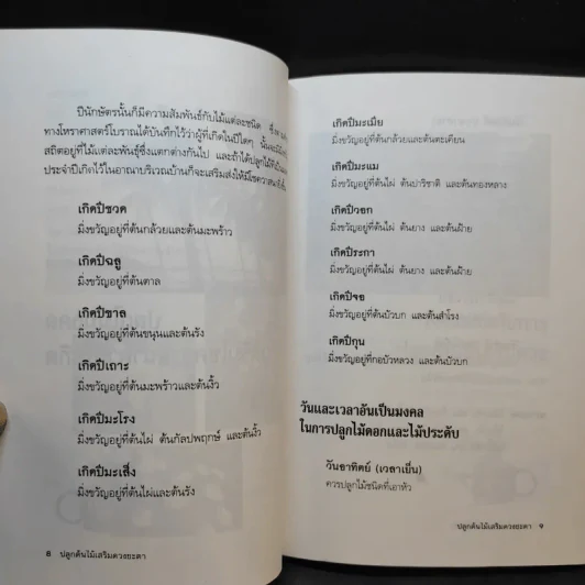ปลูกต้นไม้เสริมดวงชะตา - แก้ว สุพรรโณ รูปที่ 12