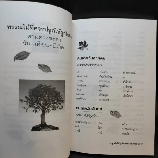 ปลูกต้นไม้ถูกโฉลก ชีวิตมีโชคลาภ - ไชยา บุญพิทักษ์ รูปที่ 11