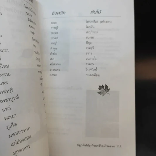 ปลูกต้นไม้ถูกโฉลก ชีวิตมีโชคลาภ - ไชยา บุญพิทักษ์ รูปที่ 12