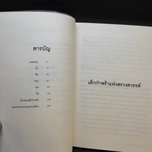 เด็กกำพร้าแห่งสรวงสวรรค์ - ภาณุ ตรัยเวช รูปที่ 10