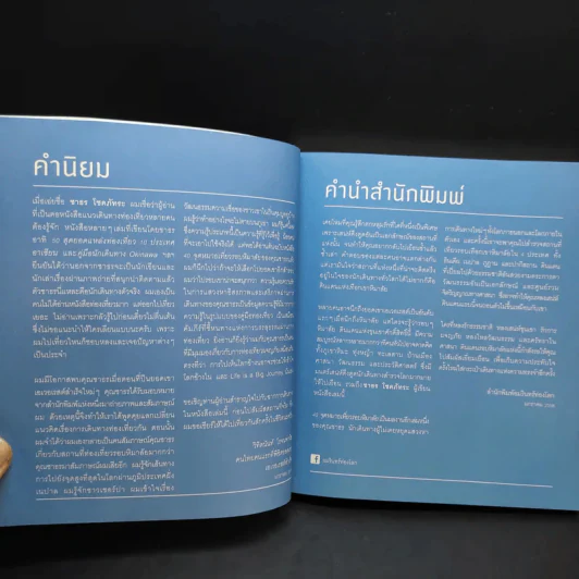 40 จุดหมายเที่ยวรอบหิมาลัย - ชาธร โชคภัทระ รูปที่ 12