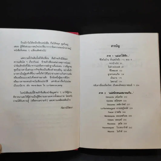 แม่เล่าให้ฟัง - สมเด็จพระพี่นางฯ รูปที่ 10