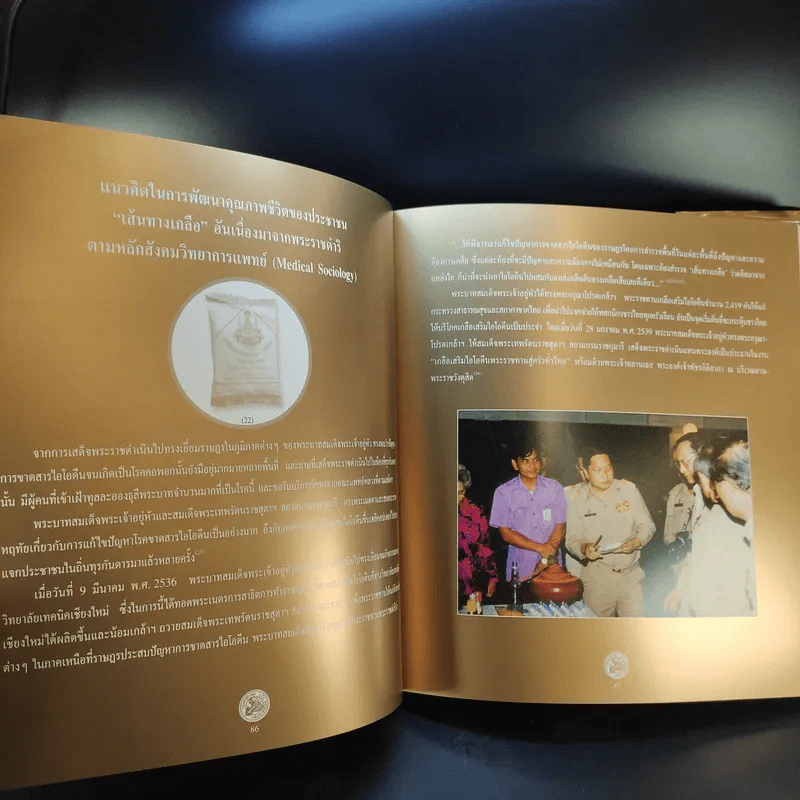 ครองราชย์ 60 ปี กับการแพทย์ รูปที่ 12
