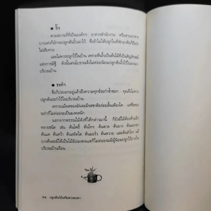ปลูกต้นไม้เสริมดวงชะตา - แก้ว สุพรรโณ รูปที่ 13