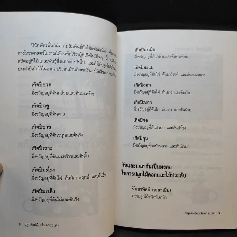 ปลูกต้นไม้เสริมดวงชะตา - แก้ว สุพรรโณ รูปที่ 12