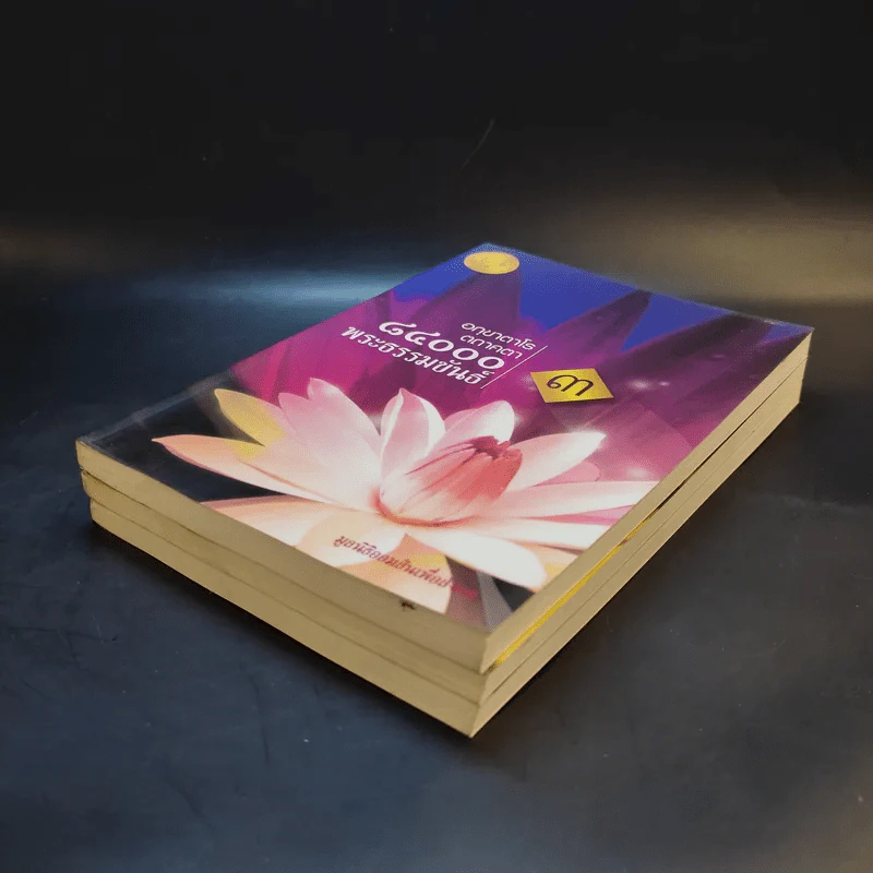 อกขาตาโร ตถาคตา 84000 พระธรรมขันธ์ เล่ม 1-3 รูปที่ 6