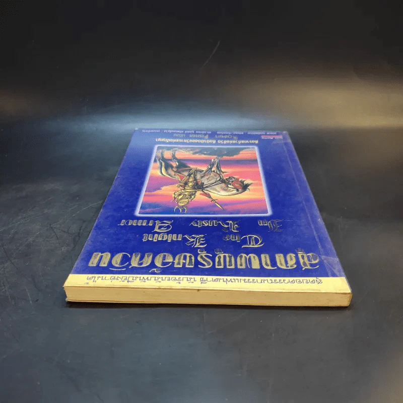 สุภาพบุรุษอัศวิน The Knight In Rusty Armor - Robert Fisher รูปที่ 6