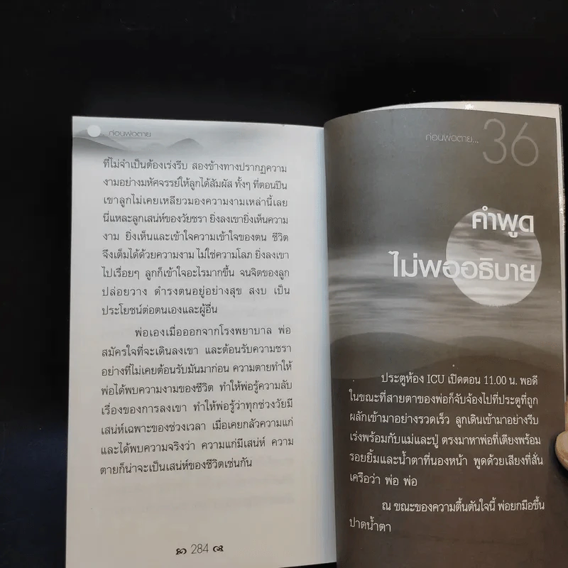 ก่อนพ่อตาย - ชาย กิตติคุณาภรณ์ รูปที่ 13