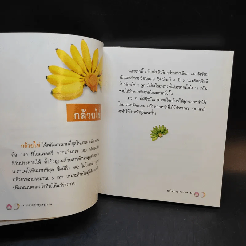 ผลไม้บำรุงสุขภาพ รูปที่ 11
