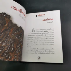 เหล็กไหลธาตุกายสิทธิ์ (1) - เวชยันต์ รูปที่ 17