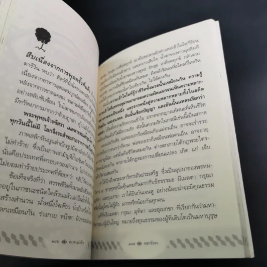 ดวงตาแห่งชีวิต - เขมานันทะ รูปที่ 17