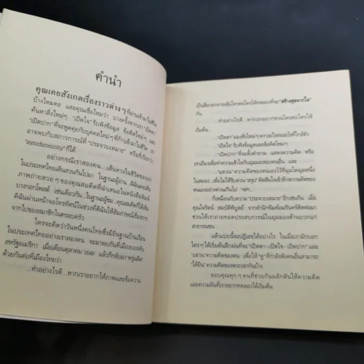 สร้างสุขจากใจ - รองศาสตราจารย์ ดร.ปาริชาต สถาปิตานนท์ รูปที่ 11