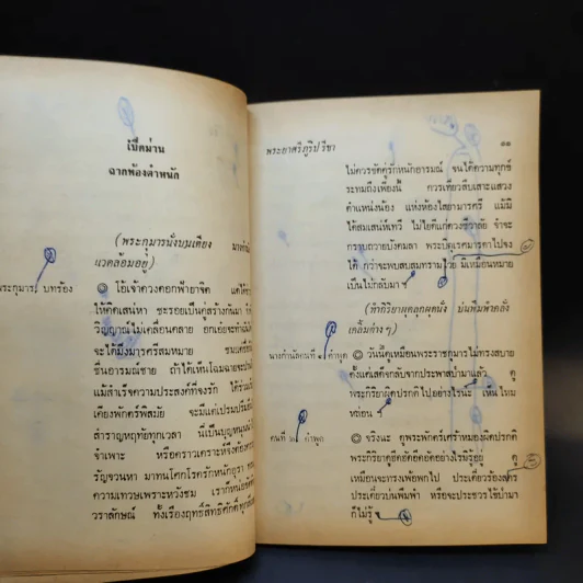 บทละครดึกดำบรรพ์เรื่อง สิทธิธนู - พระยาศรีภูริปรีชา (กมล สาลักษณ์) รูปที่ 13